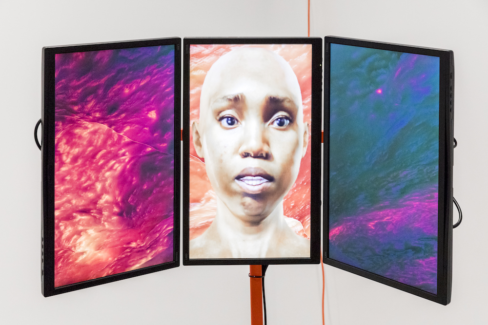 Boston’s ICA exhibit takes on the internet as art form